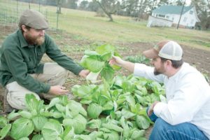 Farm to Table event puts emphasis on ‘home’ cooking