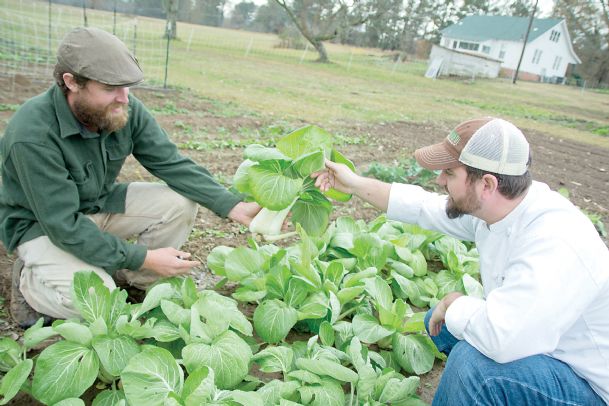 Farm to Table event puts emphasis on ‘home’ cooking