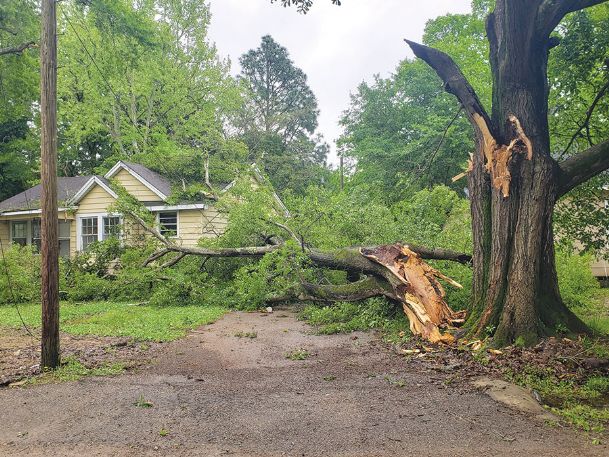 Storm damage scattered, minimal in Golden Triangle