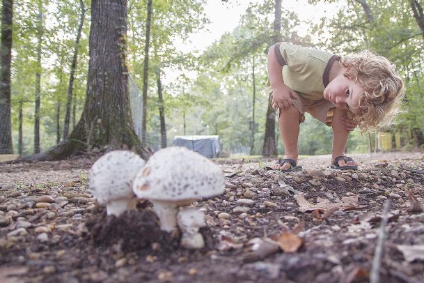 Chickens, herbs and homebrewing, anyone?