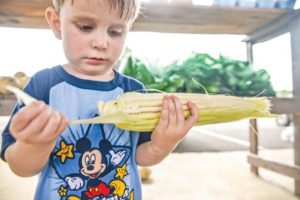 All Ears: Bacon, toasted almonds, smoked feta, marshmallow?  Yes, we’re talking corn on the cob