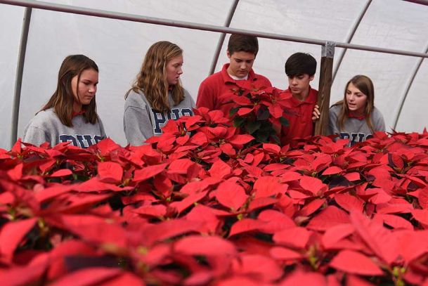 Kids have Palmer Home greenhouses decked in red