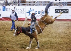 Photos: Rotary Classic Rodeo