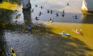 Photos: Island Paddle Fest