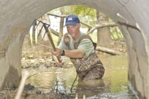 USDA fights endless battle of wits with ingenious beavers