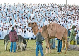 Nativity scene breaks Guinness record