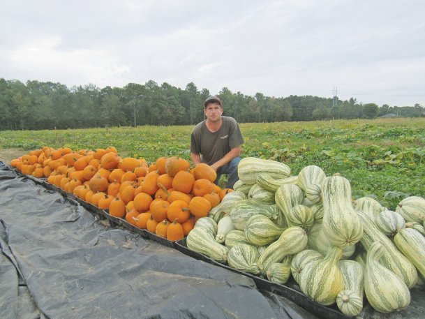 New pumpkin patch prepares to open in Caledonia