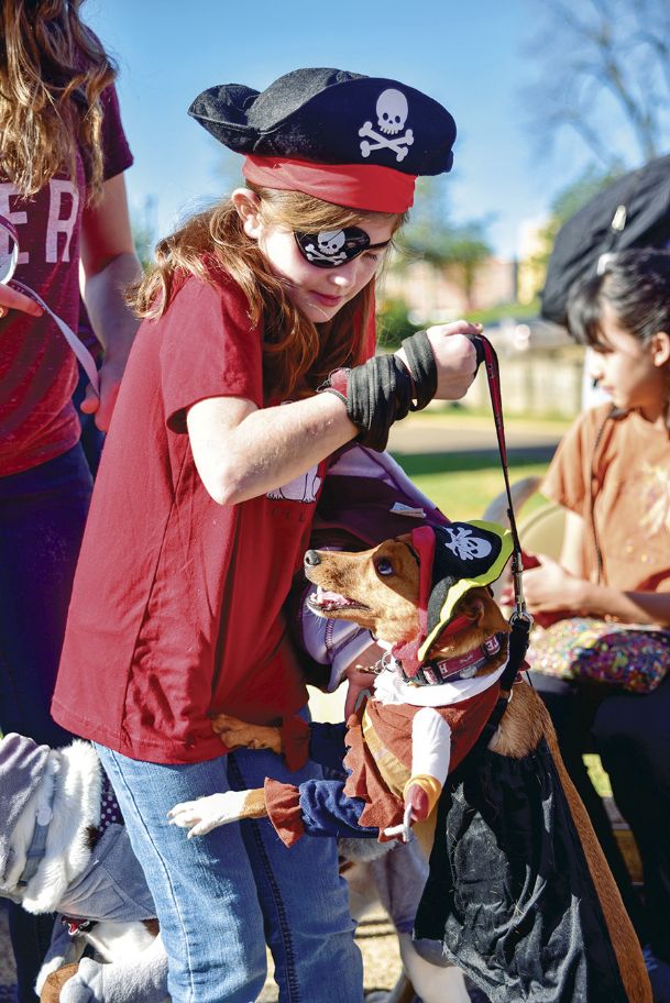 Photos: Cotton District Arts Festival 