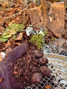 In the garden with Felder: Composting can be fuss-free