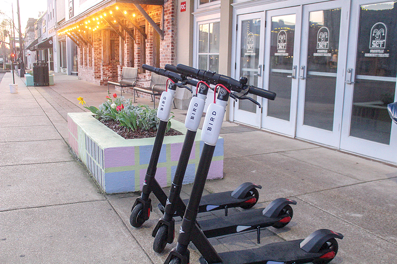 Bird scooters available for rent in Starkville