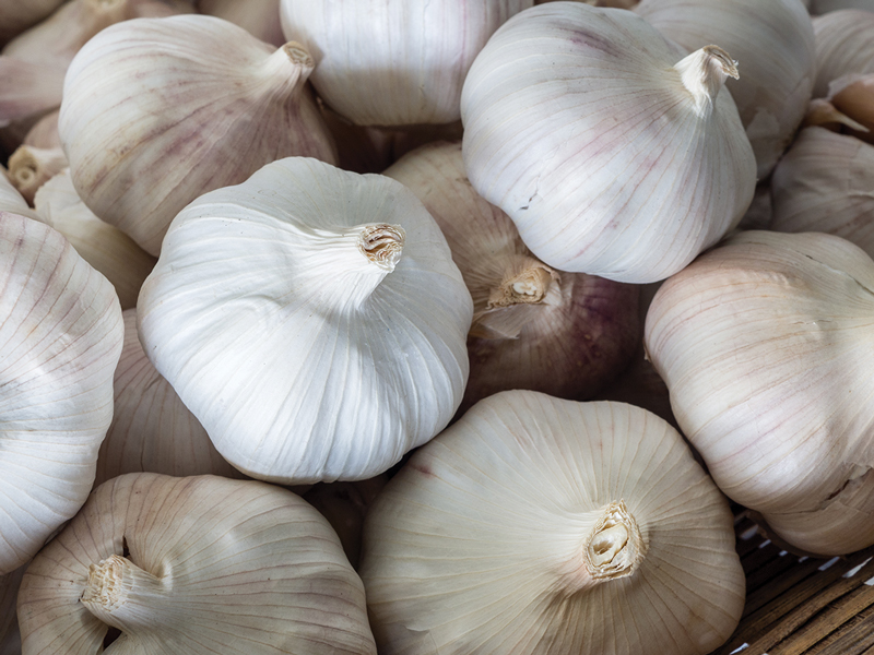 Sorting folklore from fact on the health benefits of garlic