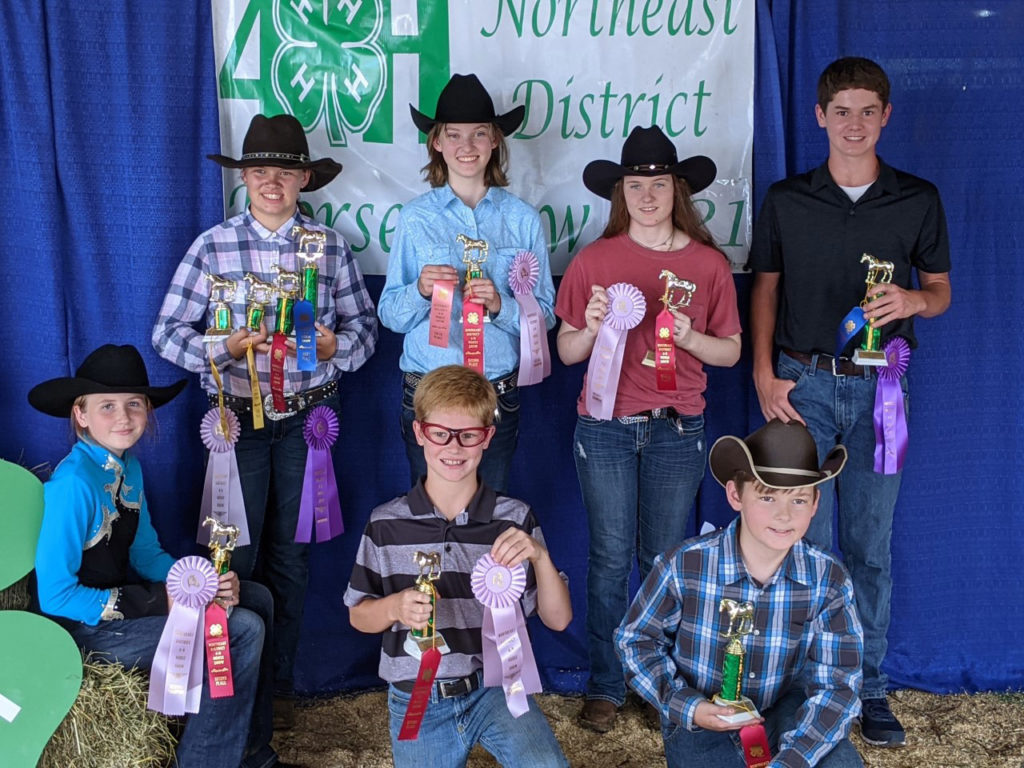 2021 Lowndes County 4-H youth compete at horse shows