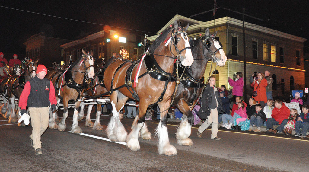 Clydesdales to return for 2021 Bicentennial Christmas Parade