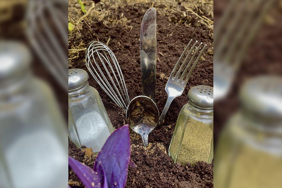 There are similarities between gardening and cooking