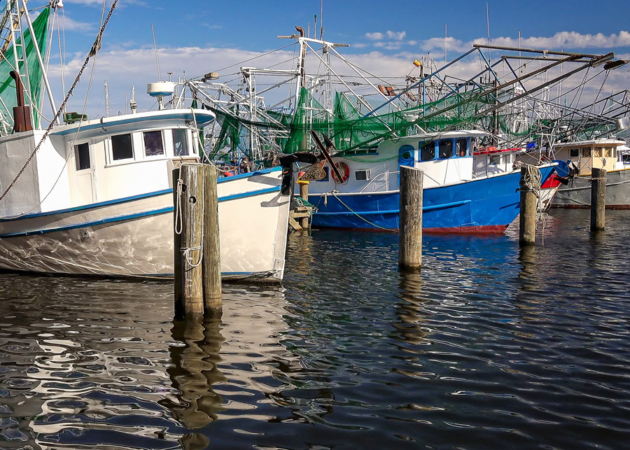 Fishing industry focuses on new fisheries, education