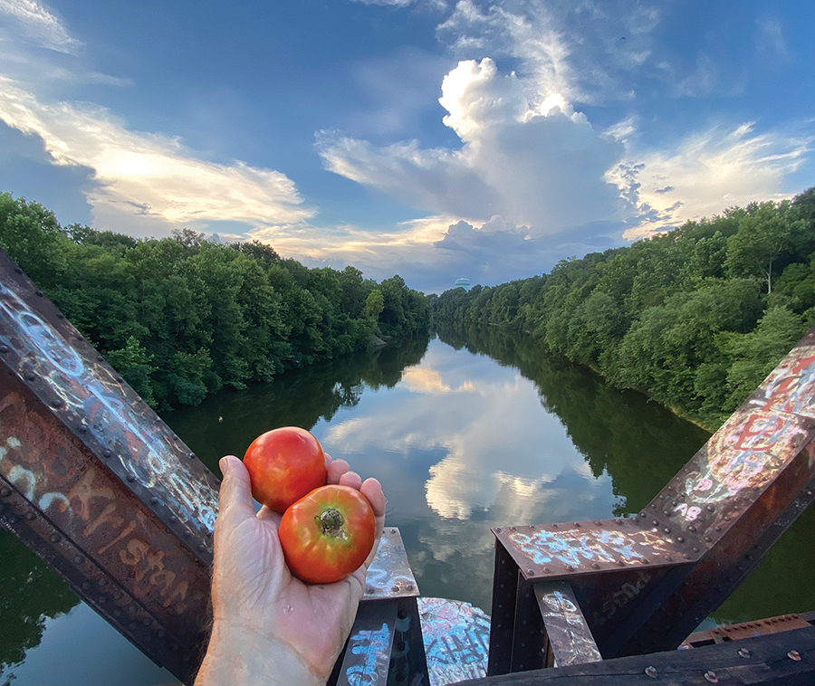 Partial to Home: Drive-by tomatoes