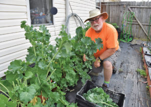 Southern Gardening: Plan, start planting fall gardens in July