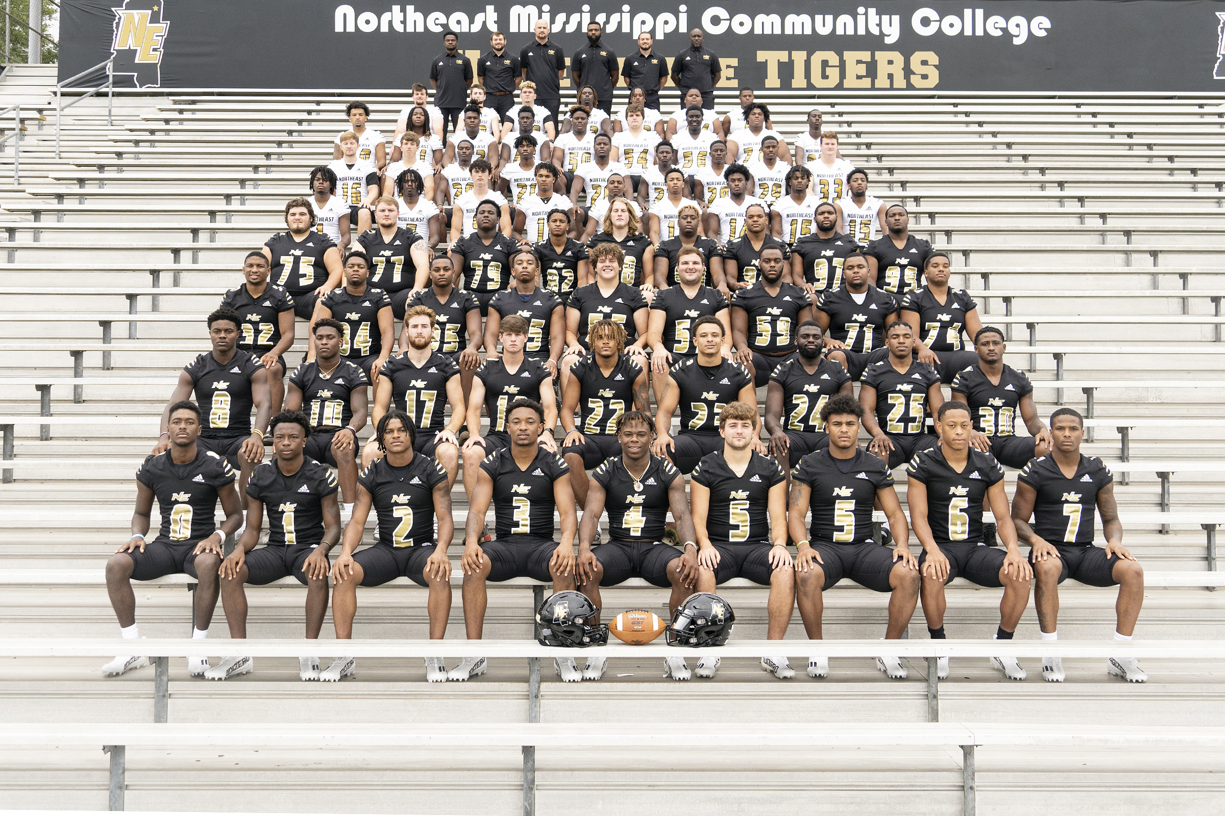 Season preview: Returners at key positions help Northeast offset large  batch of newcomers - The Dispatch