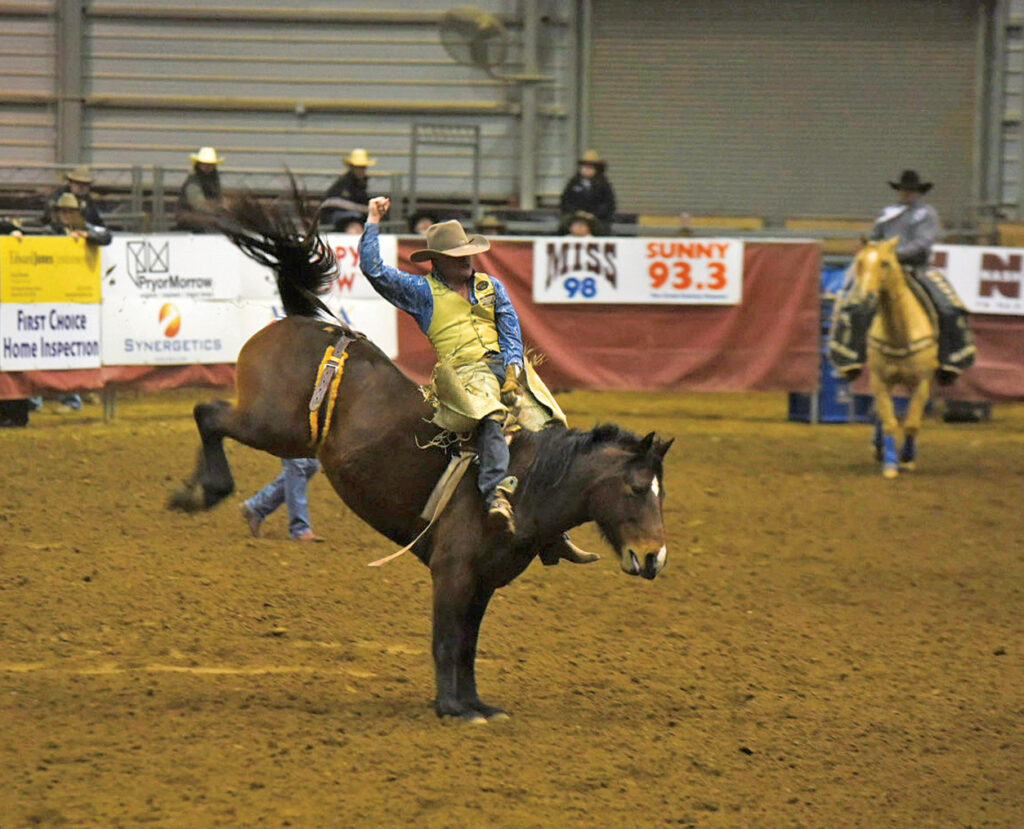 Rotary Rodeo