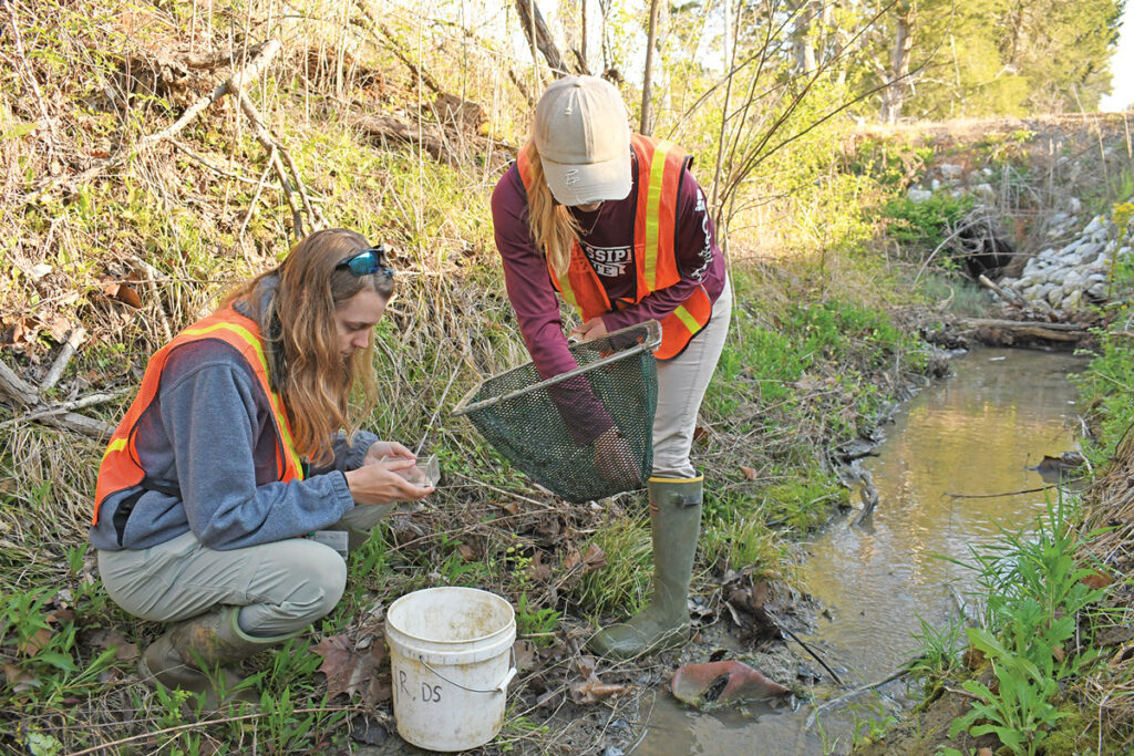 Are these mudbugs rare or just ‘tough to catch’?