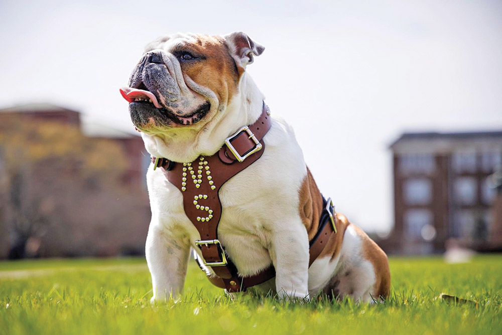 Polk statue, new mascot to be unveiled during 37th Super Bulldog