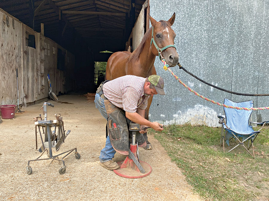 Community Profile: Horse lover found the shoe fit for farrier career