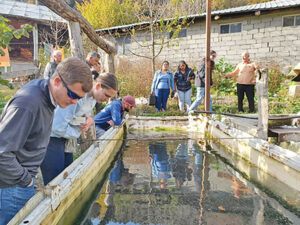 Education: MSU students support fish health, farmers in Republic of Georgia