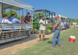 Field day spotlights MSU row crop research