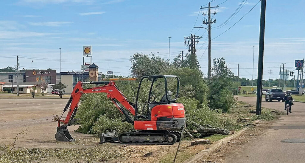 Ask The Dispatch: Can you cut down trees on your property in Columbus? Usually.