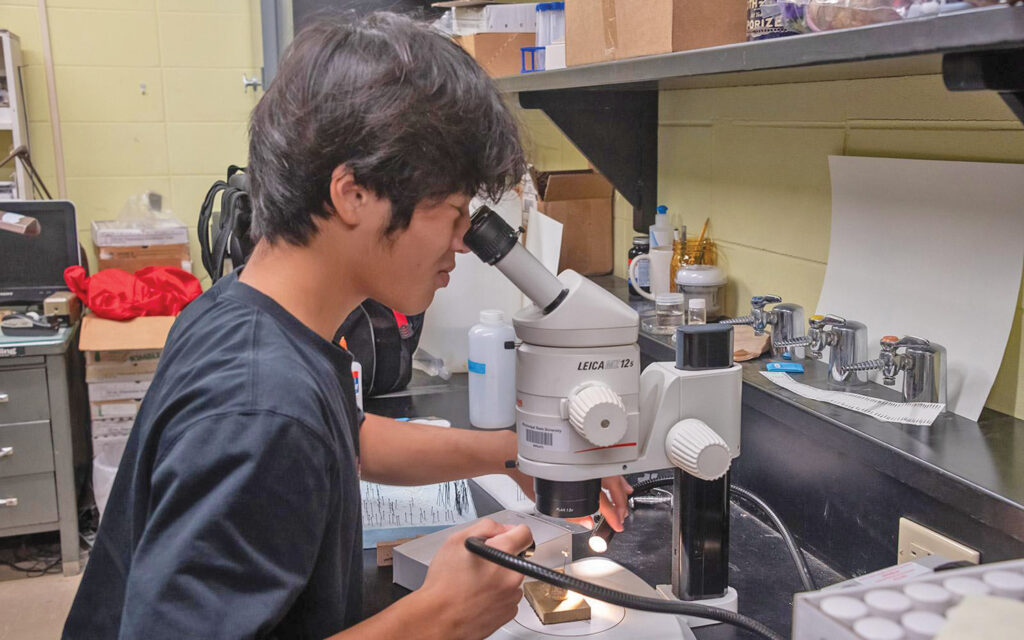 Education: Summer research internship at MSU advances entomology work for East Coast teen