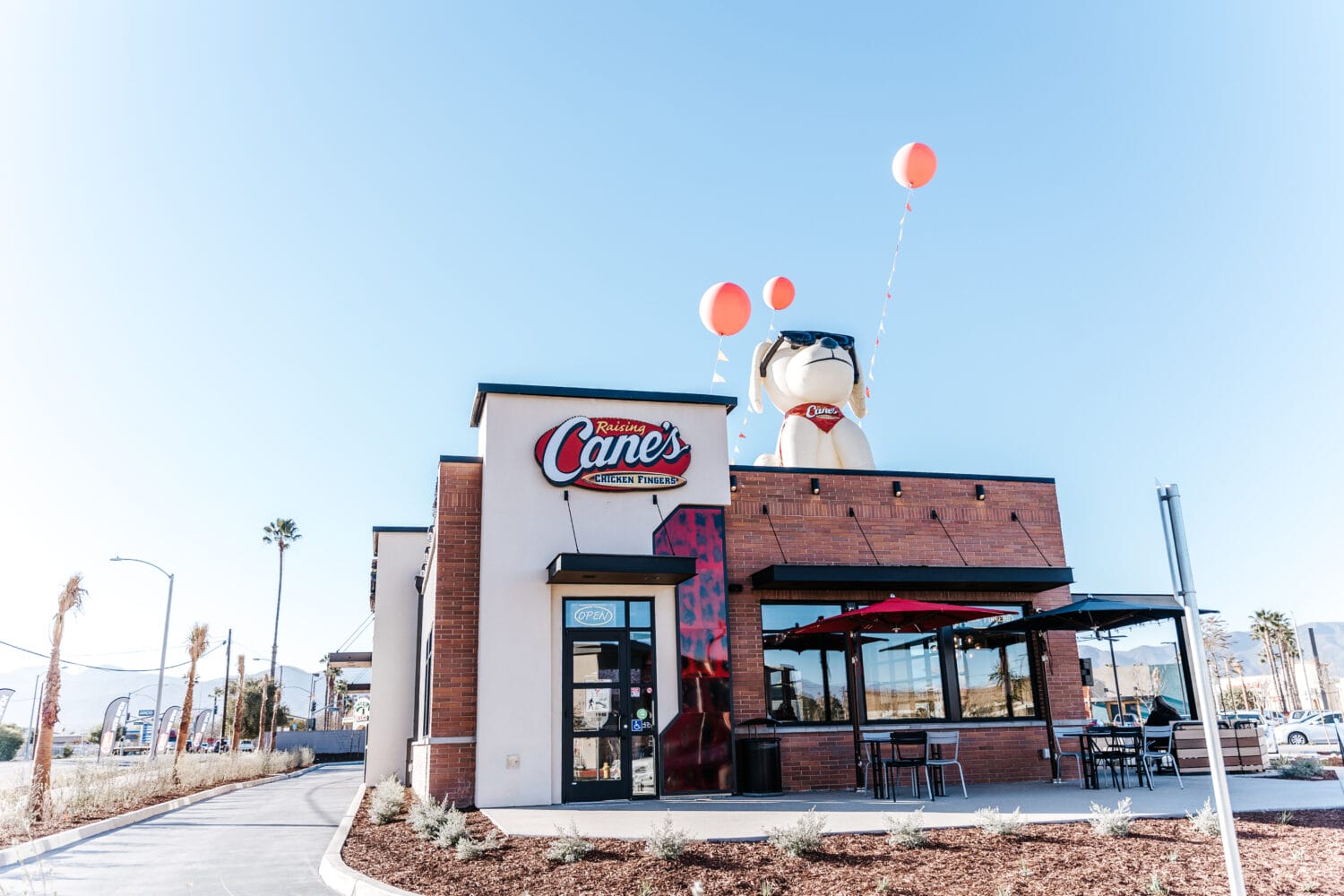 Mary Means Business: Raising Cane's eyes Starkville location
